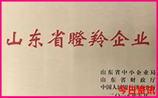 夏天可以去哪些地方